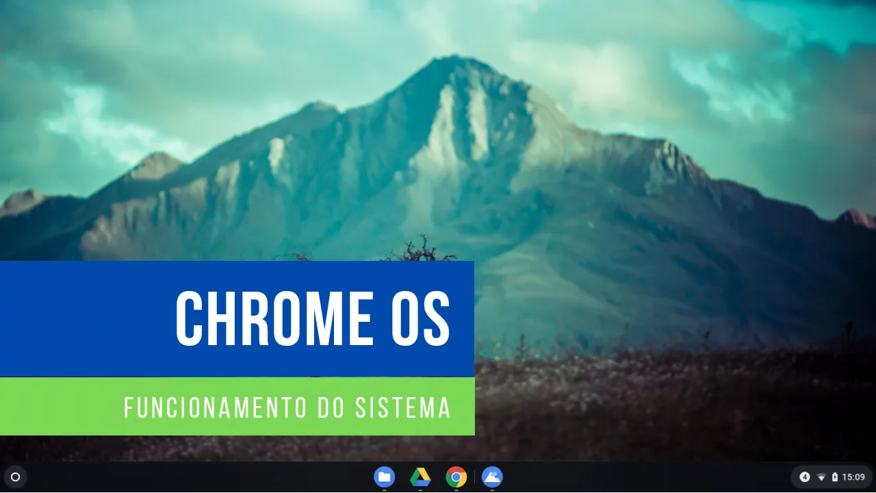ChromeOS #1