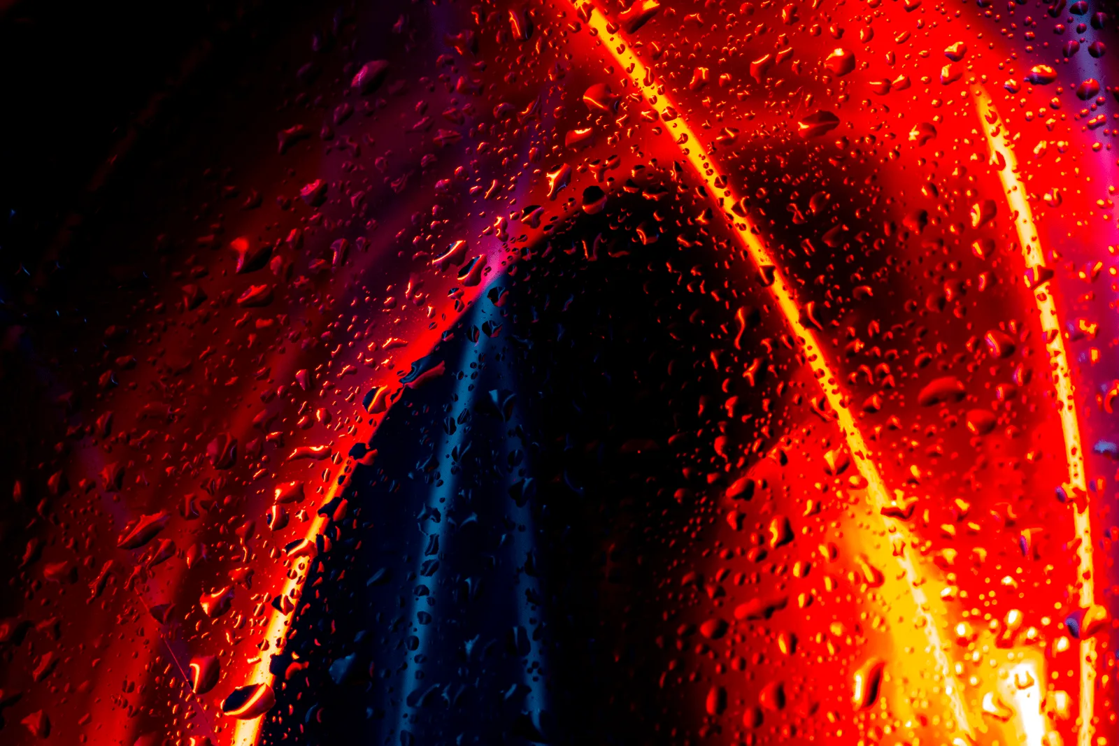Exemplo de Light Painting (longa exposição) e Macrofotografia