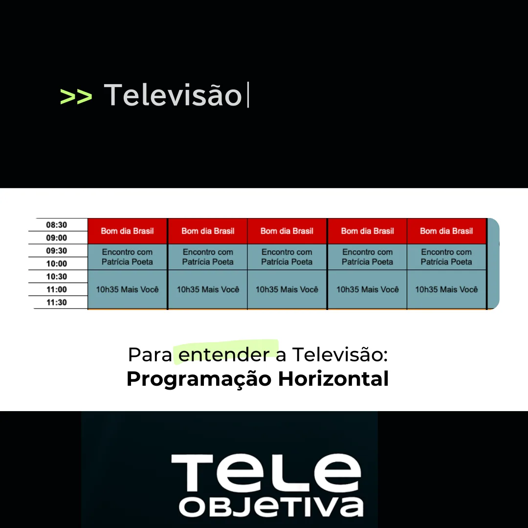 Para entender a televisão - Programação Horizontal